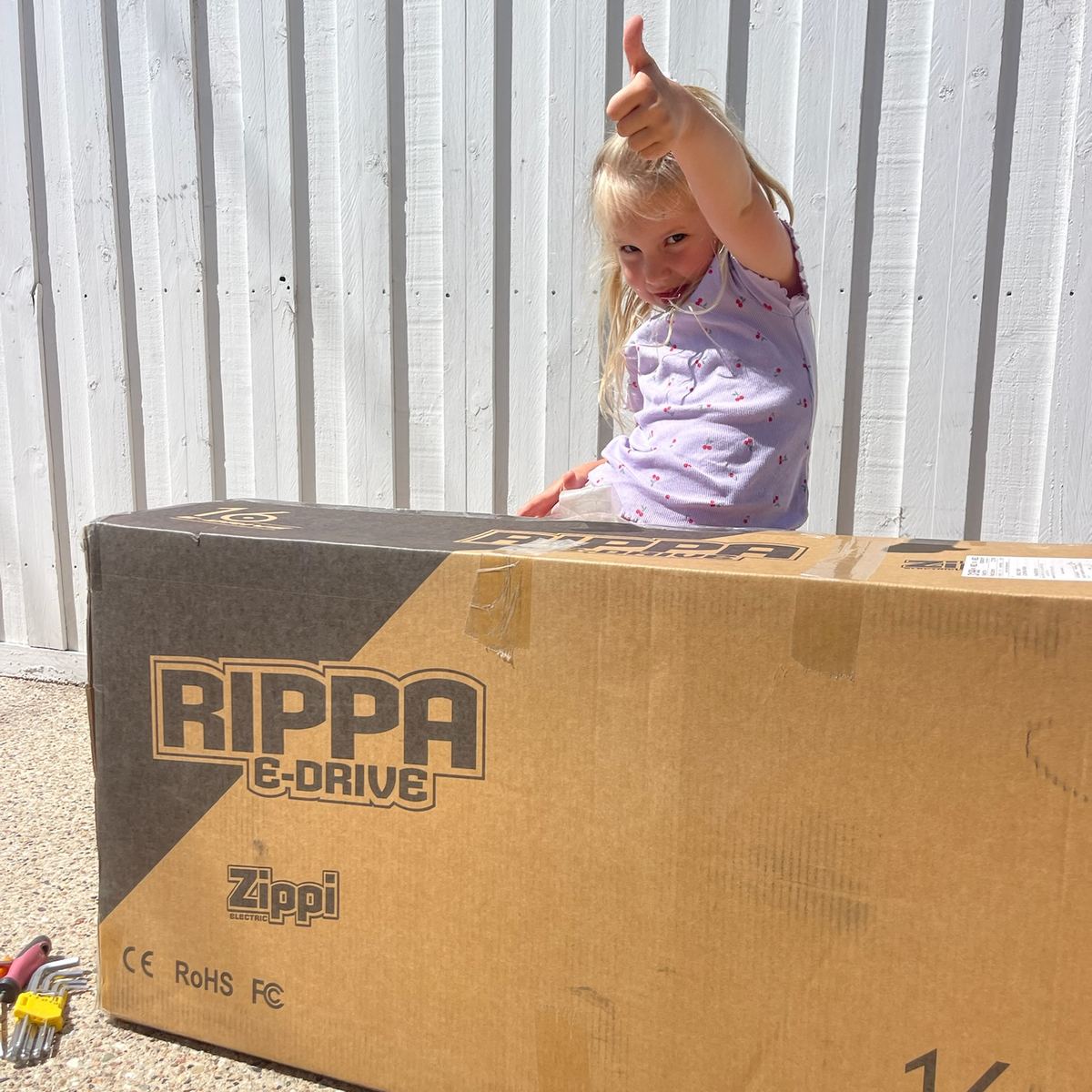 Setting up your Zippi Rippa Bike