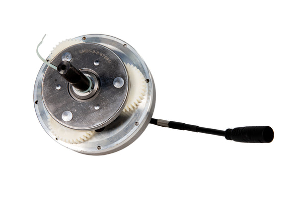 Zippi Rebel 20 inch 800W Complete Motor