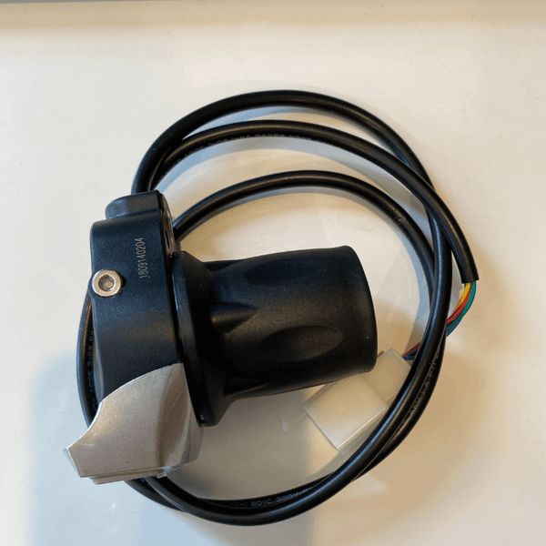 Zippi 10" - Throttle Assembly (Pre Feb 2024 Model)