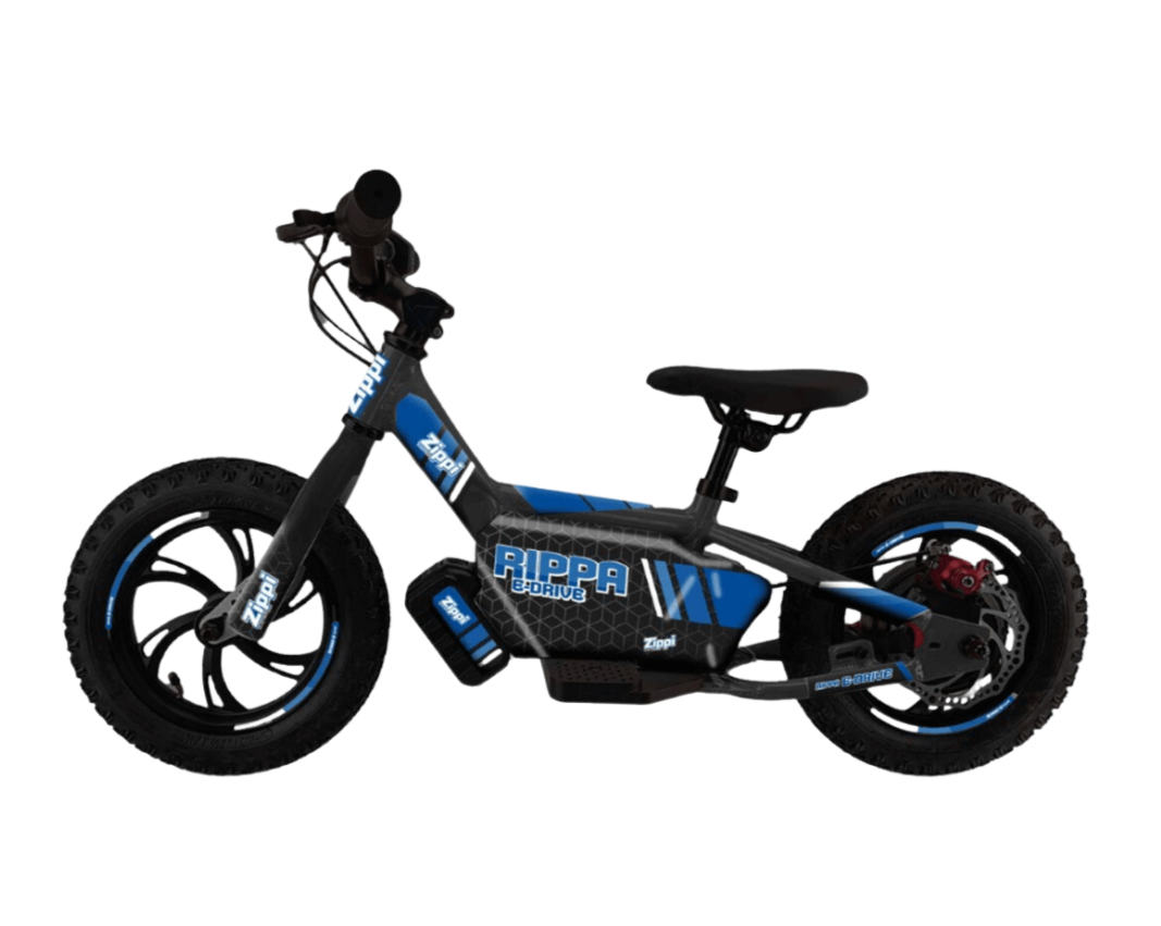 E Bike Raspberry Pi Zippi Rippa e-Drive 12