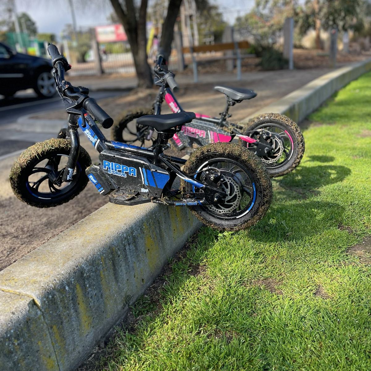 zippi rippa 12" balance bike on foothpath
