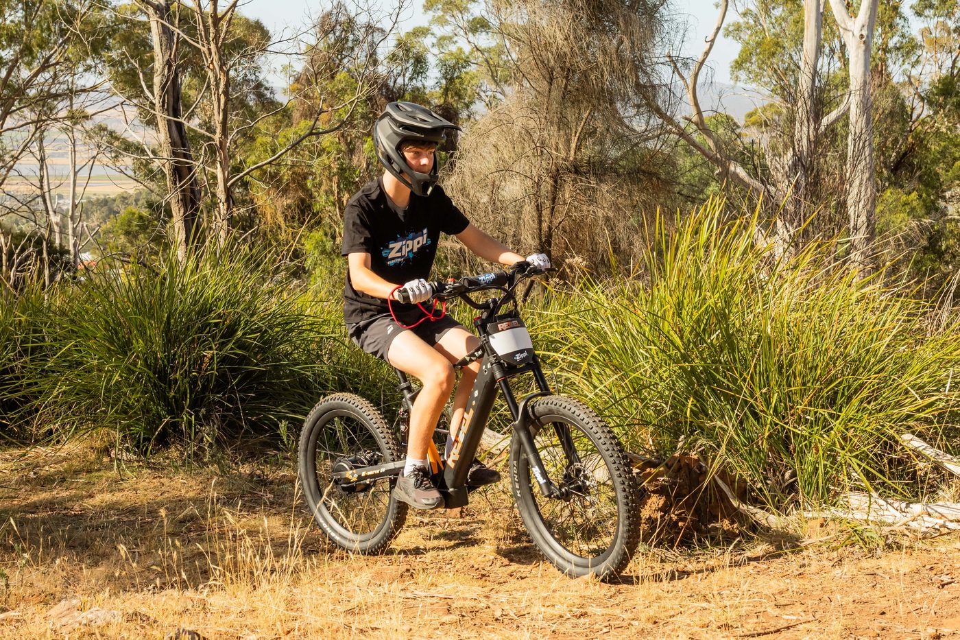 Teen rider on the Zippi Rebel 24" Pro e-bike, full-face helmet, hilltop trail with valley views.